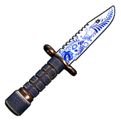 skin image