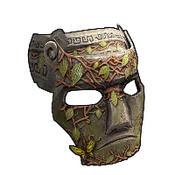 skin image