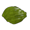 Skin Image