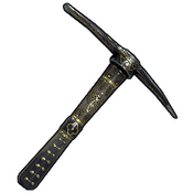 skin image