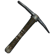 skin image