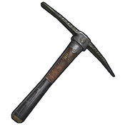 skin image