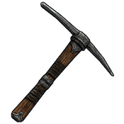 skin image