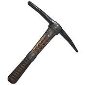 skin image