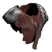 skin image