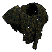 skin image