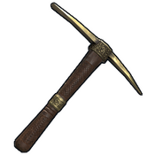 skin image