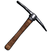 skin image