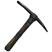 skin image