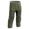 Forest Raiders Pants