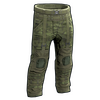 Forest Raiders Pants