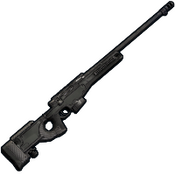 skin image