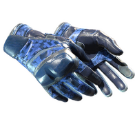 ★ Moto Gloves | Polygon (Field-Tested)