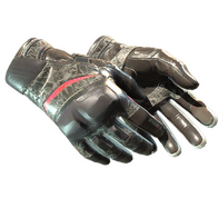 ★ Moto Gloves | Boom! (Field-Tested)