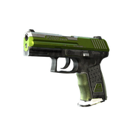 P2000 | Turf (Well-Worn)