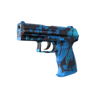 P2000 | Oceanic (Minimal Wear)