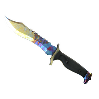 ★ Bowie Knife | Case Hardened (Well-Worn)
