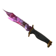 ★ Bowie Knife | Doppler (Factory New)