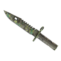 ★ M9 Bayonet | Boreal Forest (Well-Worn)