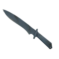 ★ StatTrak™ Classic Knife | Night Stripe (Factory New)
