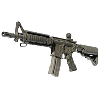 StatTrak™ M4A4 | Faded Zebra (Battle-Scarred)