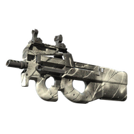 P90 | Ash Wood (Minimal Wear)