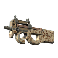P90 | Desert DDPAT (Field-Tested)