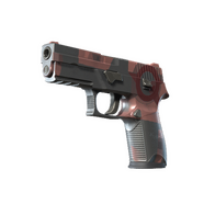 P250 | Constructivist (Minimal Wear)