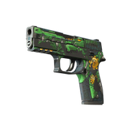 StatTrak™ P250 | See Ya Later (Battle-Scarred)