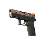 StatTrak™ P250 | Cassette (Field-Tested)