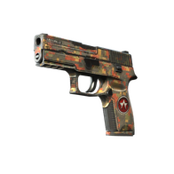 StatTrak™ P250 | Red Rock (Battle-Scarred)