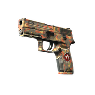 StatTrak™ P250 | Red Rock (Well-Worn)