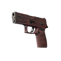 P250 | Contaminant (Field-Tested)