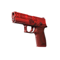 StatTrak™ P250 | Muertos (Field-Tested)