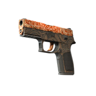 StatTrak™ P250 | Mehndi (Field-Tested)