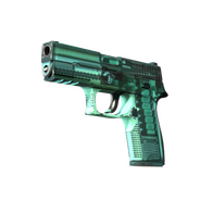 P250 | X-Ray (Field-Tested)
