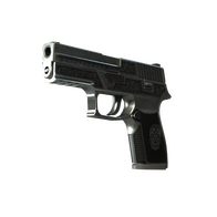P250 | Cartel (Well-Worn)