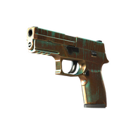 P250 | Verdigris (Minimal Wear)