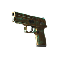 P250 | Verdigris (Field-Tested)