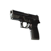 P250 | Dark Filigree (Field-Tested)