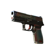 P250 | Cyber Shell (Field-Tested)