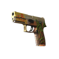P250 | Inferno (Minimal Wear)