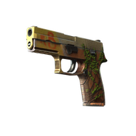 P250 | Inferno (Field-Tested)