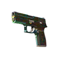 StatTrak™ P250 | Visions (Field-Tested)