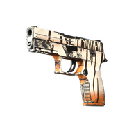P250 | Bengal Tiger (Field-Tested)