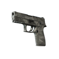 P250 | Facets (Field-Tested)