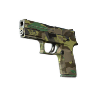P250 | Boreal Forest (Field-Tested)