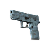 Souvenir P250 | Forest Night (Minimal Wear)