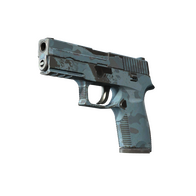 P250 | Forest Night (Field-Tested)
