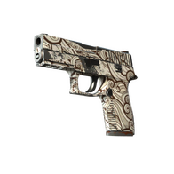P250 | Gunsmoke (Field-Tested)